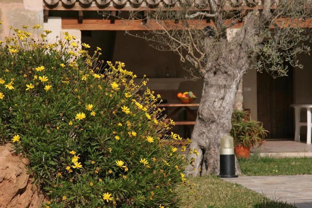 Butxaco Villa Pollenca Spain